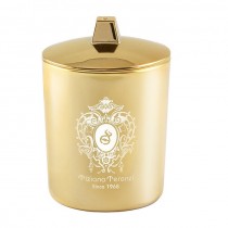 Tiziana Terenzi Draco wieca 170g