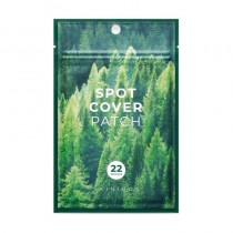 Skin1004 Madagascar Centella Spot Cover plasterki na niedoskonaoci 22szt