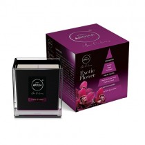 Aroma Home Black Series Exotic Flower wieca zapachowa 155g