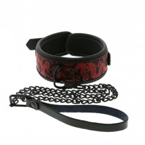 Dream Toys Blaze Deluxe Collar & Leash obro�a ze smycz�