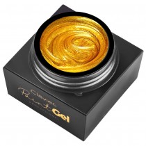 Clavier Paint Gel Professional �el do zdobie� Z�oty 5g