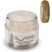 Elisium Diamond 2in1 Powder proszek do manicure tytanowego D09 Glowing Gold 23g